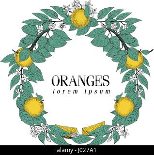 Couronne ronde des feuilles et des fruits orange. Vector hand drawn style croquis du châssis. Vintage illustration. Modèle Logo Illustration de Vecteur