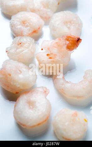 Petites crevettes congelées sur fond réfléchissant blanc Banque D'Images