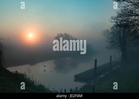 Stibbington, España. Dimanche 9 avril 2017. Météo Royaume-uni:Brouillard lever du soleil sur la rivière Nene, attend ronchonner, le brouillard disparaît. Credit : WansfordPhoto/Alamy Live News Banque D'Images