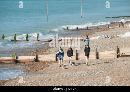 Les gens qui marchent avec leurs chiens le long de la plage sur une journée ensoleillée à Worthing, West Sussex, Angleterre, Royaume-Uni. Banque D'Images