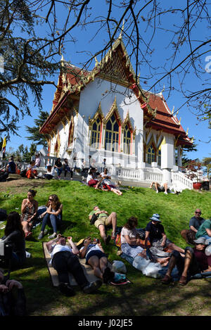 Londres, Royaume-Uni. 9 avril 2017. Les fidèles et les visiteurs assistent à la fête du Nouvel An Thaï de Songkran au Temple Buddhapadipa dans Wimbledon. Traditionnellement, l'aspersion de l'eau symbolise le lavage du passé, et de l'eau doucement aurait été versé sur les anciens, ou des images du Bouddha. Crédit : Stephen Chung / Alamy Live News Banque D'Images