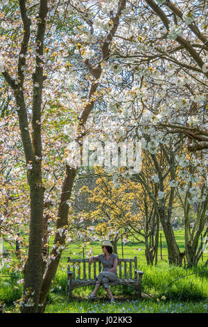 Sussex, UK. Le 9 avril, 2017. Les visiteurs apprécient le soleil de l'après-midi et la fleur de printemps dans la maison, à Batemans de Rudyard Kipling -maintenant entretenu par le National Trust. 09 Apr 2017 Sussex. Crédit : Guy Bell/Alamy Live News Banque D'Images