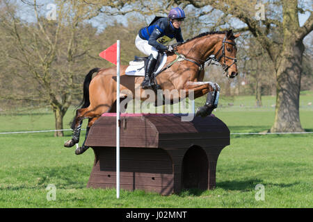 Weston Sous Lézard, Littlehampton, Angleterre. 09 avr, 2017. Le Weston Park Horse Trials, Weston Park, Shiffnal, Zara Tindall et son cheval Haut Royaume prendre part à l'étape de la classe avancée qu'ils remportent. L'objet de l'essai est de prouver la vitesse, l'endurance et la capacité de saut du cheval . En même temps, il démontre la connaissance du coureur de l'APCE et l'utilisation de ce cheval à travers le pays. Crédit : Trevor Holt/Alamy Live News Banque D'Images