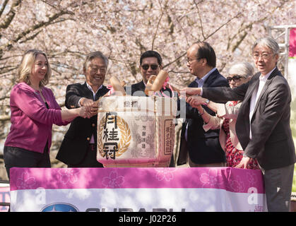 Philadelphie, Pennsylvanie, USA. Apr 9, 2017. membres du Japon la société américaine, briser le baril à cause de cérémonie du 20e anniversaire de la ville de Philadelphie a Sakura dimanche parrainé par Subaru of America et le Japon Amérique Latine Society of Greater Philadelphia L'événement a eu lieu dans le centre historique de l'horticulture dans l'ouest de Fairmount Park Crédit : Ricky Fitchett/ZUMA/Alamy Fil Live News Banque D'Images