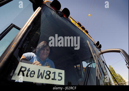Las Vegas, Nevada, USA. Août 24, 2012. Conducteur d'autobus scolaire Dede Chavez maintient sa ligne d'autobus à l'intérieur de signer son bus au Clark County School District's Wallace Transportation Yard le 24 août 2012. Chavez, 10 ans à l'arrondissement, l'un des lecteurs de petits bus pour les élèves ayant des besoins spéciaux. Crédit : David Becker/ZUMA/Alamy Fil Live News Banque D'Images