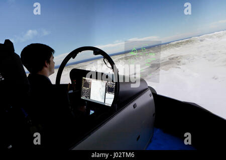 Chasseur à réaction Boeing Flight Simulator - USA Banque D'Images