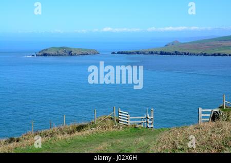 Vue vers l'île de Cardigan à partir de Cemaes Head Nature Reserve, Pembrokeshire Wales Cymru UK GO Banque D'Images