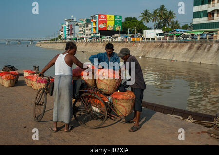 31.01.2017, mawlamyine, république de l'Union du Myanmar, en Asie - les hommes biens charge sur un pousse-pousse à vélo une jetée à mawlamyine. Banque D'Images