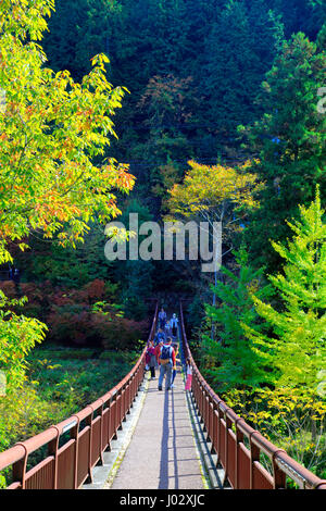 Ishibunebashi Akigawa Pont Vallée Akiruno Keikoku-shi, Tokyo Japon Banque D'Images