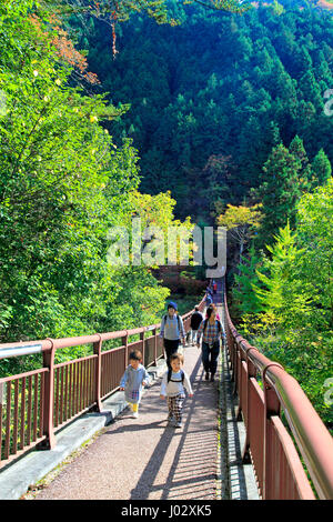 Ishibunebashi Akigawa Pont Vallée Akiruno Keikoku-shi, Tokyo Japon Banque D'Images