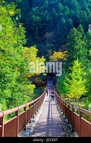 Ishibunebashi Akigawa Pont Vallée Akiruno Keikoku-shi, Tokyo Japon Banque D'Images