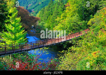 Ishibunebashi Akigawa Pont Vallée Akiruno Keikoku-shi, Tokyo Japon Banque D'Images