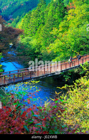 Ishibunebashi Akigawa Pont Vallée Akiruno Keikoku-shi, Tokyo Japon Banque D'Images