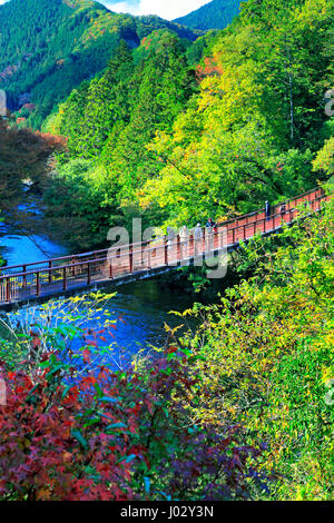 Ishibunebashi Akigawa Pont Vallée Akiruno Keikoku-shi, Tokyo Japon Banque D'Images