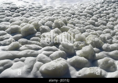 La mousse sur l'eau du lac. La saleté de la mousse sur le lac. Banque D'Images