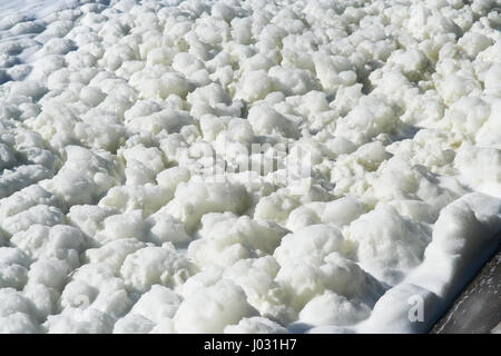 La mousse sur l'eau du lac. La saleté de la mousse sur le lac. Banque D'Images