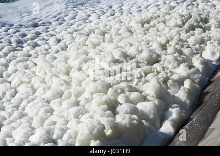 La mousse sur l'eau du lac. La saleté de la mousse sur le lac. Banque D'Images