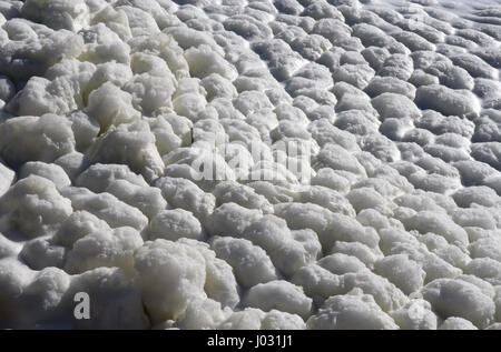 La mousse sur l'eau du lac. La saleté de la mousse sur le lac. Banque D'Images