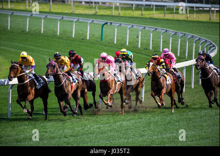 Les courses de chevaux de Hong Kong Banque D'Images