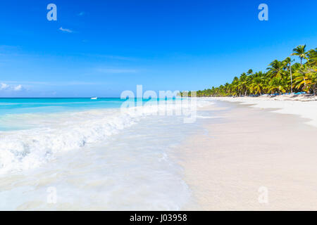 Palmiers poussent sur une plage de sable blanc. Mer des Caraïbes, la République dominicaine, l'île de Saona, station touristique populaire de la côte Banque D'Images