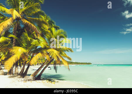 Cocotiers poussent sur une plage de sable blanc. La côte de la mer des Caraïbes, la République dominicaine, l'île de Saona, vintage photo aux couleurs rétro, effet de filtre Banque D'Images