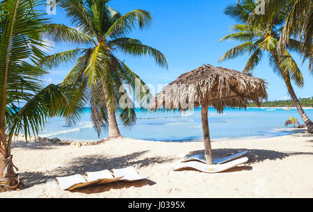 Des cocotiers, des chaises longues et des parasols sont vides sur la plage de sable blanc. Mer des Caraïbes, la République dominicaine, l'île de Saona, station touristique populaire de la côte Banque D'Images