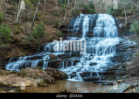 Pearsons Falls est une cascade dans Colt Creek près de Saluda, Caroline du Nord. Banque D'Images