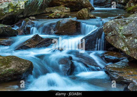 Pearsons Falls est une cascade dans Colt Creek près de Saluda, Caroline du Nord. Banque D'Images