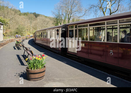 Plate-forme de train en gare sur voie étroite du patrimoine Ffestiniog Railway Line à Tan-y-Bwlch, Gwynedd, au nord du Pays de Galles, Royaume-Uni Banque D'Images