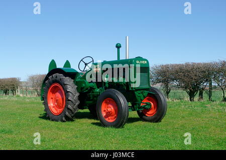 Oliver 80 standard tracteur vintage Banque D'Images