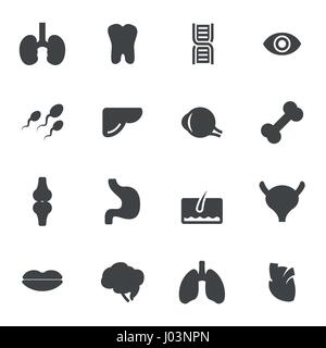 Vector icons set anatomie noir sur fond blanc Illustration de Vecteur