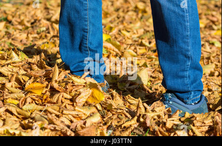 Concept d'automne. Personne marchant dans les feuilles sur le terrain en couleurs d'automne au Royaume-Uni. Banque D'Images