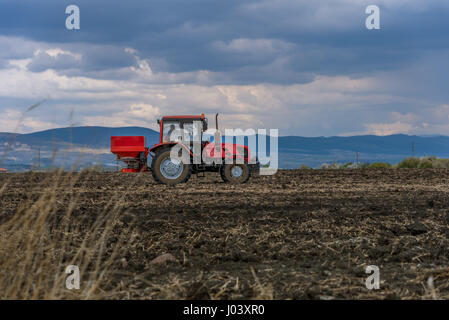 L'épandage des engrais artificiels du tracteur au printemps Banque D'Images