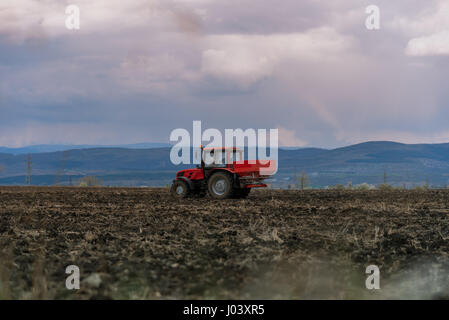 L'épandage des engrais artificiels du tracteur au printemps Banque D'Images