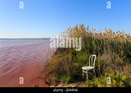 Le lac rose de Torrevieja, Parque Natural de las Lagunas de La Mata et Torrevieja, Espagne Banque D'Images