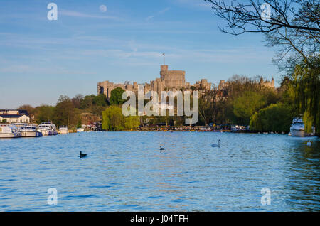Une vue sur la Tamise vers le château de Windsor dans la soirée. Banque D'Images