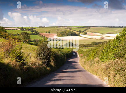 Un chemin de campagne à voie unique mène à la vallée de la craie sydling collines de la Dorset Downs. Banque D'Images