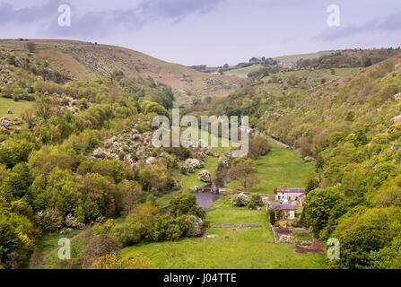 Terres et bois en Dale Monsal valey en Angleterre's Peak District National Park. Banque D'Images