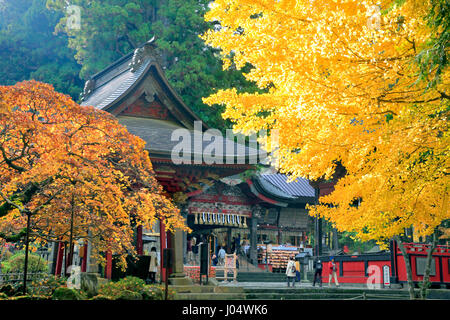 Sanctuaire Shinto Fuji Sengen Jinja Yamanashi Japon ville Fujiyoshida Banque D'Images