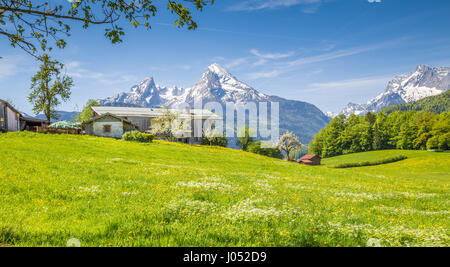 Vue panoramique du paysage de montagne idyllique dans les Alpes avec de vertes prairies en fleurs sur une belle journée ensoleillée au printemps, le Parc National Berchte Banque D'Images