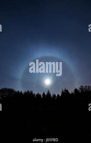 Monmouthshire au Pays de Galles, Royaume-Uni. 10 avril, 2017. Un halo autour de la lune plus de Monmouthshire au Pays de Galles, dans la nuit du 10 avril 2017. Crédit : David Cheshire/Alamy Live News Banque D'Images