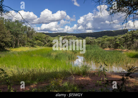 Photo de paysage sur un étang dans le parc national de Marakele Banque D'Images