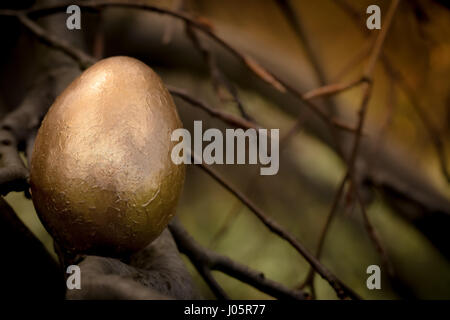 Un œuf d'or caché sur une branche d'arbre. Banque D'Images