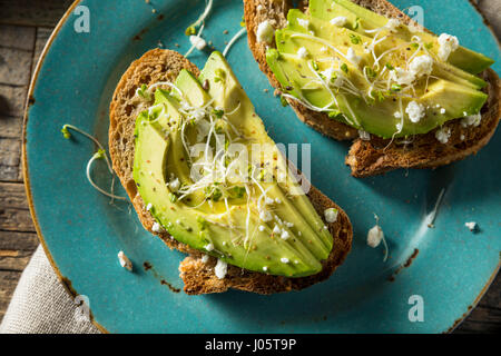 Maison saine toast à l'avocat avec le fromage et les graines germées Banque D'Images