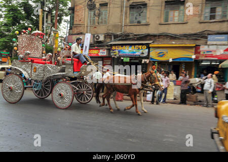 Transport de chevaux dans la rue, Kolkata, Bengale occidental, Inde, Asie Banque D'Images