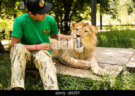 Les lions semblent être à l'aise avec les humains. De superbes images montrant des lions féroces et sans peur l'homme assis sur le dessus de l'autre dans un champ ont été capturés par un photographe surpris. Les photos montrent le surréaliste 418 livres accueillant des lions leur compagnons comme ils ont heureusement poser pour vos autoportraits, s'embrassent sur la bouche et un lion blanc même tend la main d'un coup de patte d'un homme nageant dans un étang. D'autres images montrent les lions de personnes souhaits affectueusement leur voiture et dans une image incroyable, un homme de courage met son bras dans la bouche de la bête de poser pour la caméra. Le specta Banque D'Images