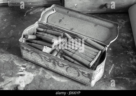 Images obsédantes révèlent l'extraordinaire collection d'armes à feu la taxidermie et laissés à pourrir dans les ruines d'un château français abandonnés qui pourraient avoir été abandonné au cours des six dernières décennies. Photographies d'oeil-ouverture afficher les ornements animal spooky répartis dans le grand manoir abandonné comme-bien-que les fusils et munitions qui auraient pu être utilisés sur safari pour les chasser vers le bas. Capturé par l'Explorateur urbain Florian Michaud, 30, ces photographies : des tortues, des crocodiles empaillés, un requin, un cobra et mongoose luttant contre l'autre, un Canard, poisson, lapin, l'antilope, Peacock et une tête de cerf. À partir de l'ag Banque D'Images