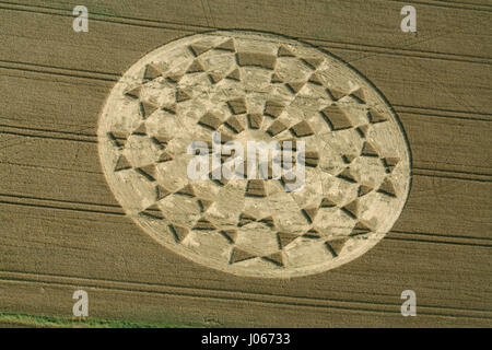 Bowerchalke, Wiltshire, Royaume-Uni : un crop circle les revendications chercheur phénomène mystérieux est un soulagement temporaire pour les personnes souffrant de maladies de Parkinson. Dans une histoire similaire à l'Oscar du meilleur film fantastique 1985 Cocoon, où les personnes âgées ont les signes de vieillesse renversée par des êtres d'un autre monde, certains des chercheurs britanniques affirment maintenant les cercles de récolte pourrait avoir un effet similaire dans la réalité. Vingt-cinq ans d'étude par le chercheur scientifique Lucy Pringle, du Hampshire a révélé les effets bénéfiques de l'étant à l'intérieur d'un crop circle pour les patients atteints de la maladie de Parkinson. Les personnes souffrant de la maladie h Banque D'Images