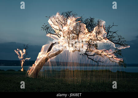 PLATEAU CENTRAL brésilien, BRÉSIL : Nature et science ont fusionné en tant que photographe utilise fireworks tirés depuis les arbres pour leur faire purger la lumière. Les photos montrent des arbres et magique un lac illuminé par la lumière-sentiers à partir de Fireworks dans divers endroits au Brésil, le Plateau Central d'un paysage riche en faune couvrant la majeure partie de l'Est, centrale et sud du Brésil. Photographe Local Vitor Schietti artifice agité manuellement avec l'aide d'une longue tige pour créer les modèles en couches et tourbillonnant jusqu'à douze photographies d'atteindre la finale la collection de photos est appelée 'Impermanent Banque D'Images