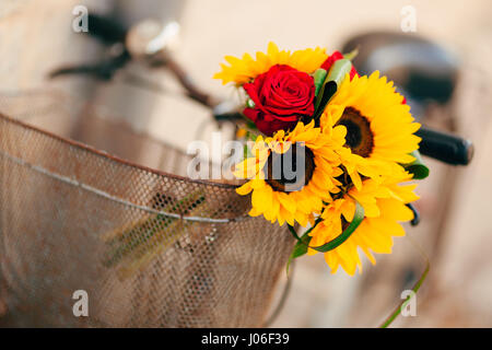 Bouquet de mariée mariage de tournesols dans le panier de la bicyclette. Mariage dans le Monténégro, Perast. Banque D'Images